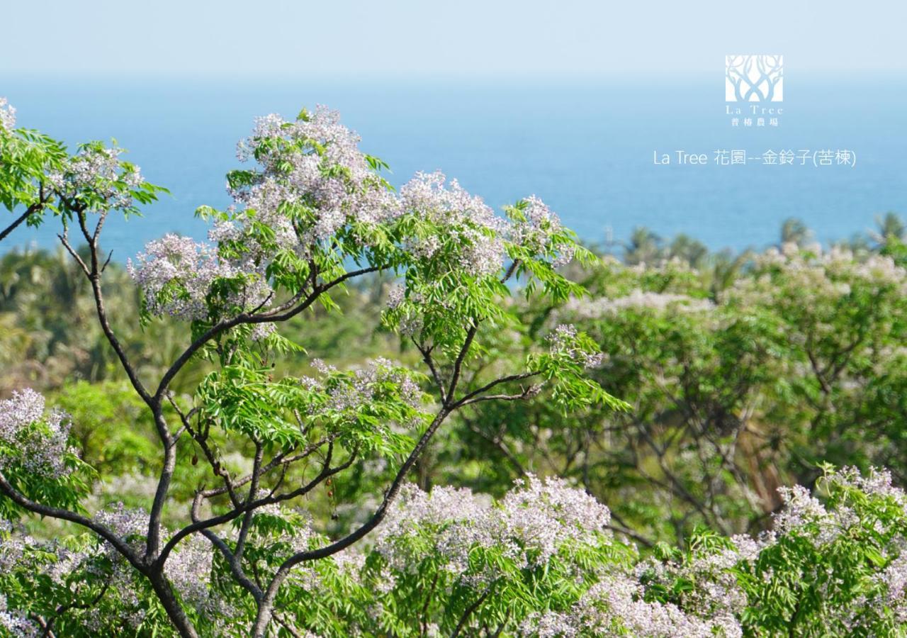 La Tree 普椿農場木子莊園 Daire Donghe Dış mekan fotoğraf