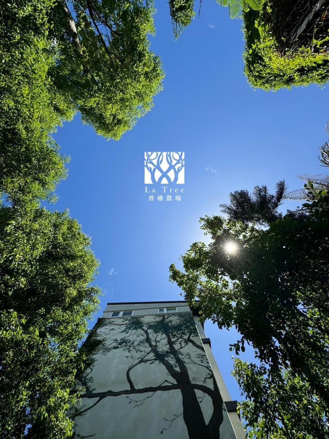 La Tree 普椿農場木子莊園 Daire Donghe Dış mekan fotoğraf